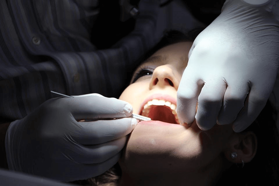 Dentist Berwyn